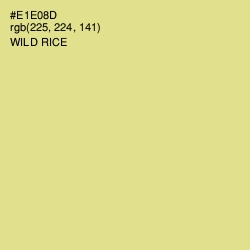 #E1E08D - Wild Rice Color Image